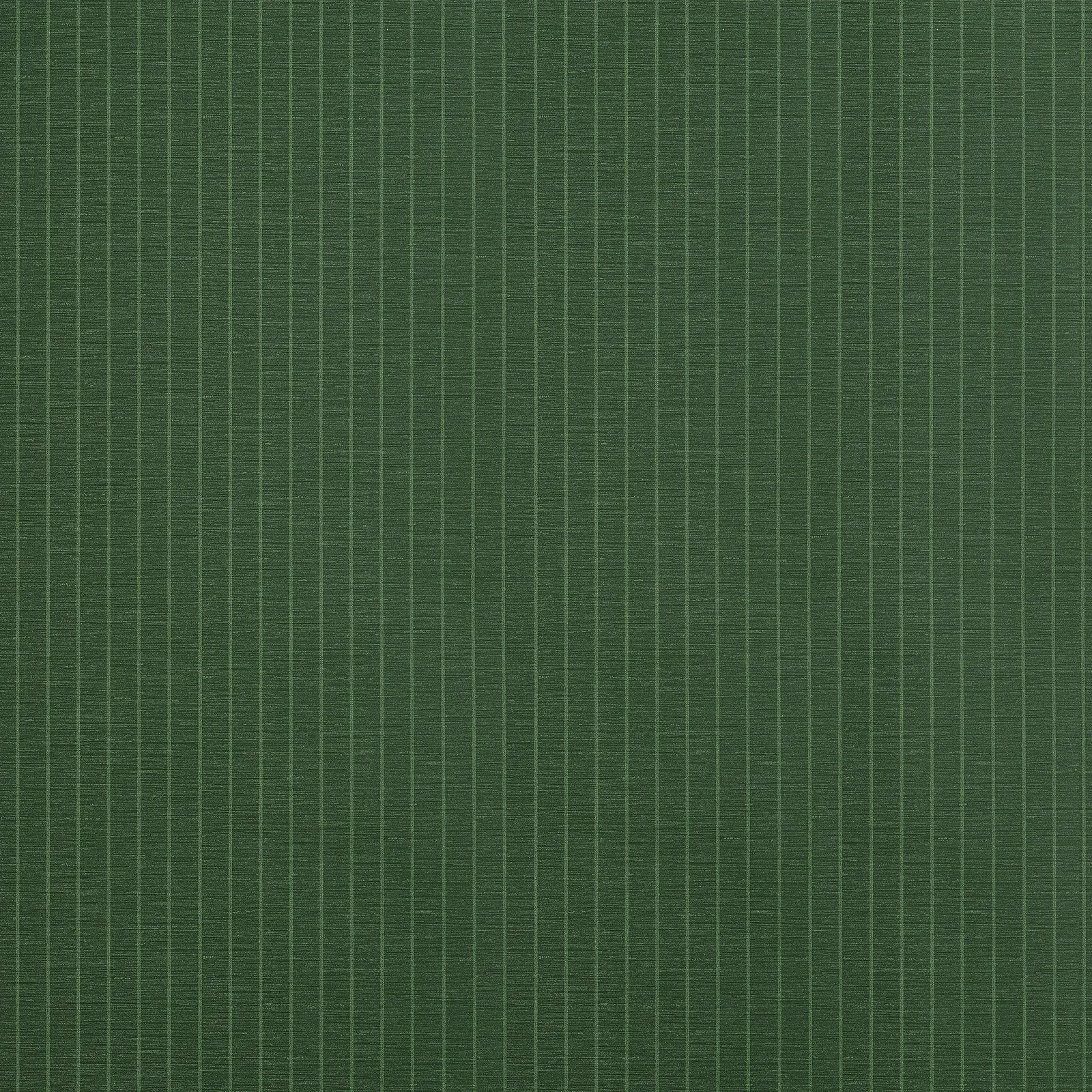 SUITED STRIPE - Forest Green. Фото 1 из 1