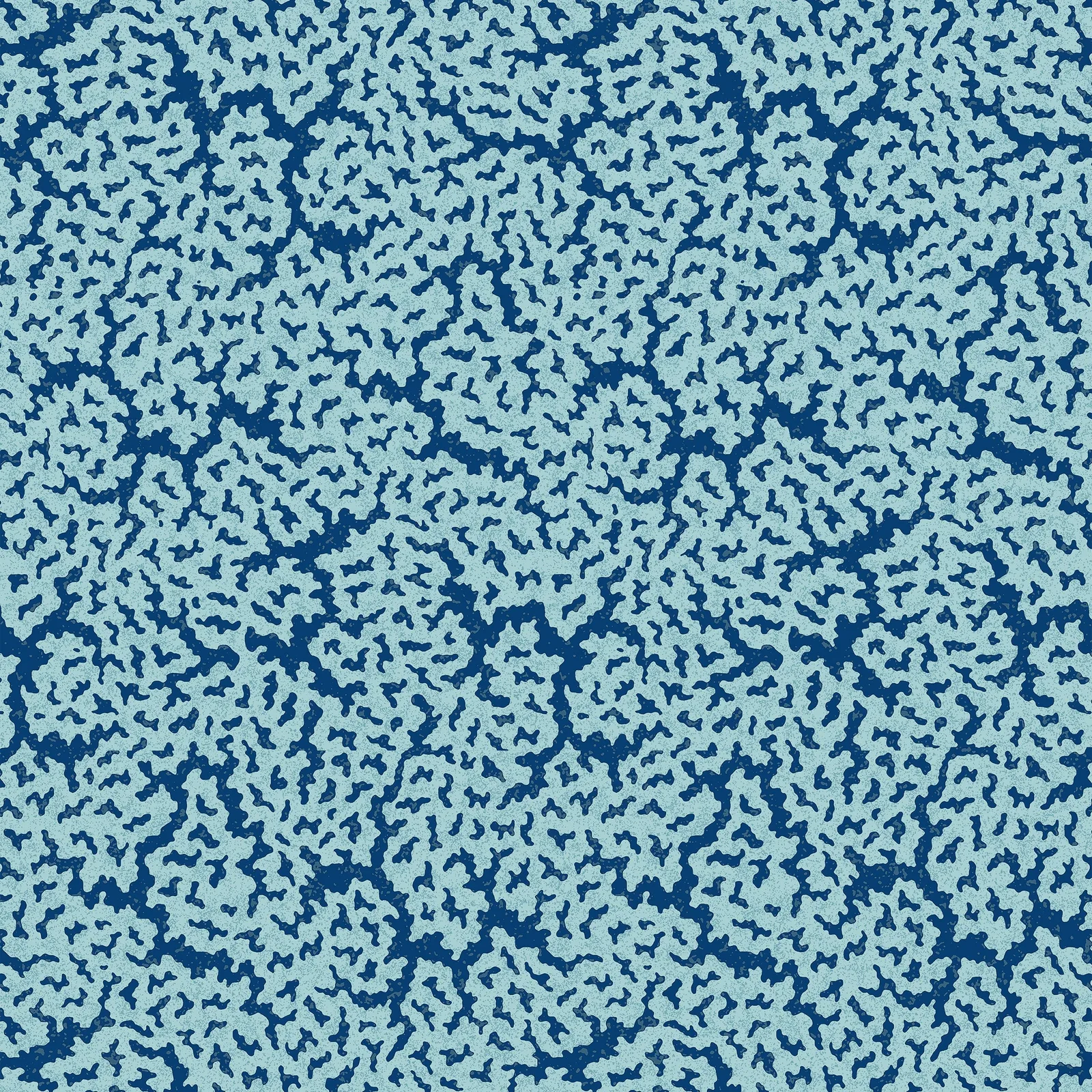 MALDIVES - Navy. Фото 1 из 1