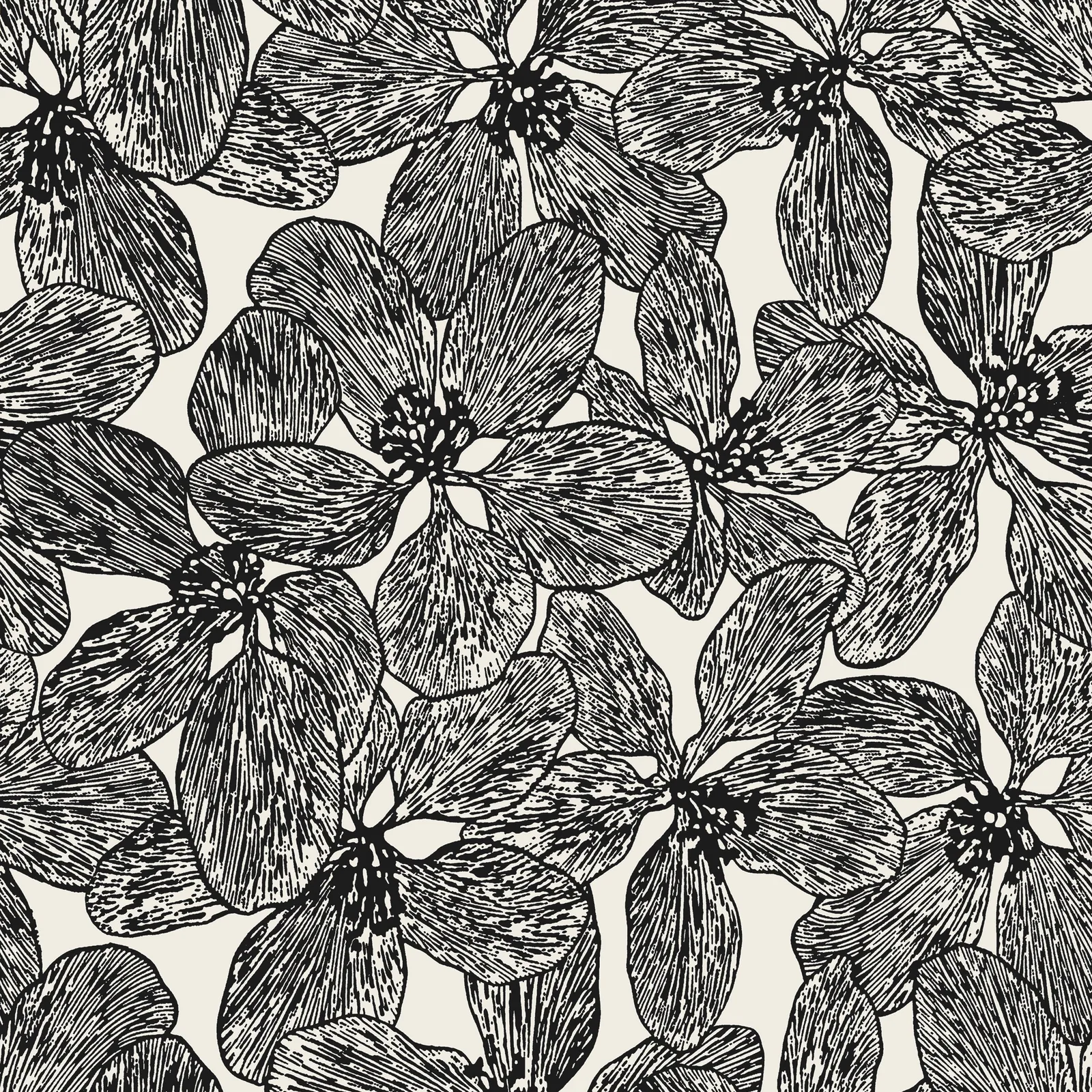 ISLAND ORCHID - Black and White T15848