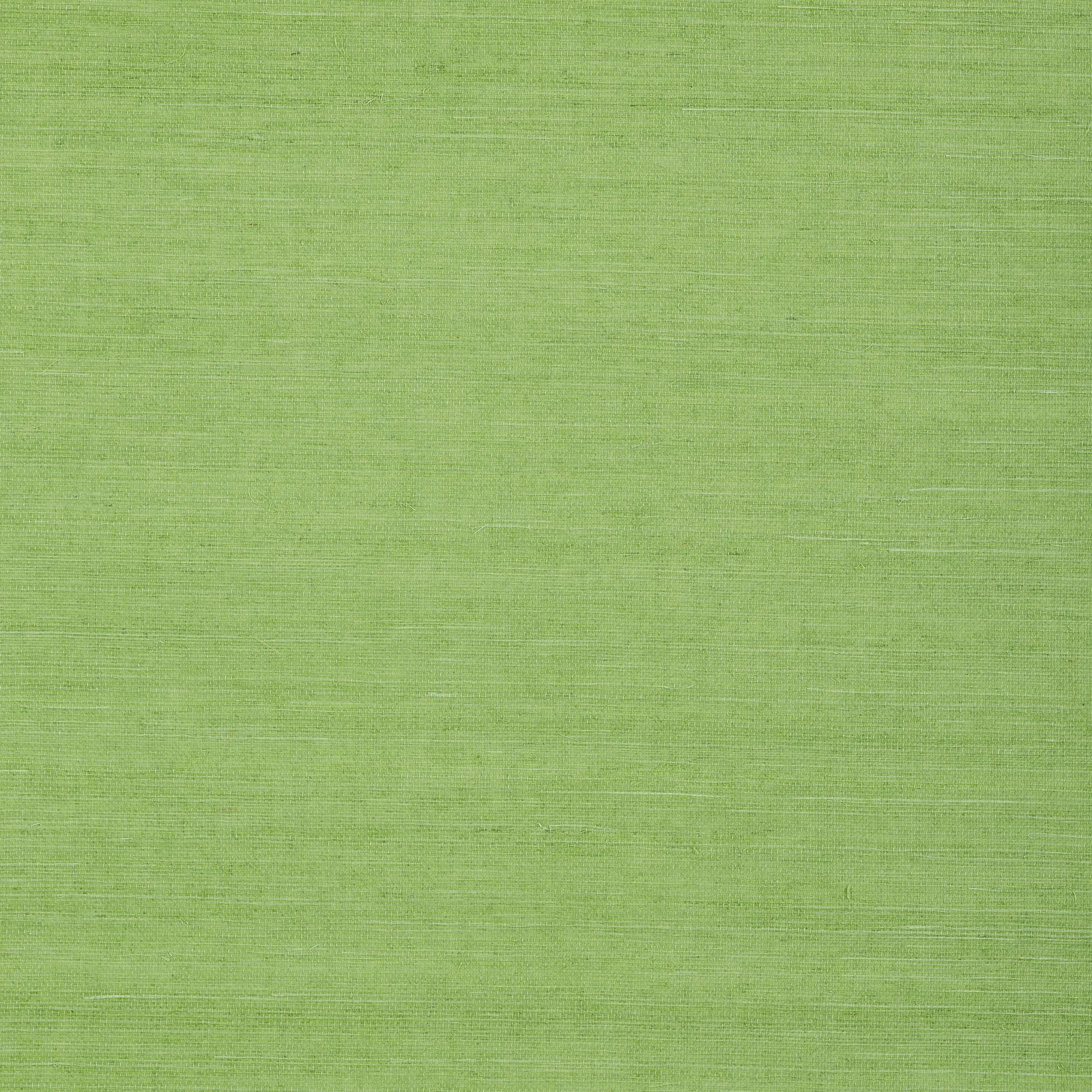 SHANG EXTRA FINE SISAL - Kelly Green T72832