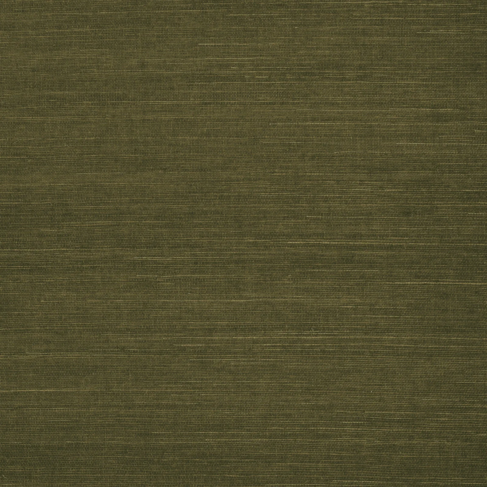 SHANG EXTRA FINE SISAL - Avocado. Фото 1 из 1