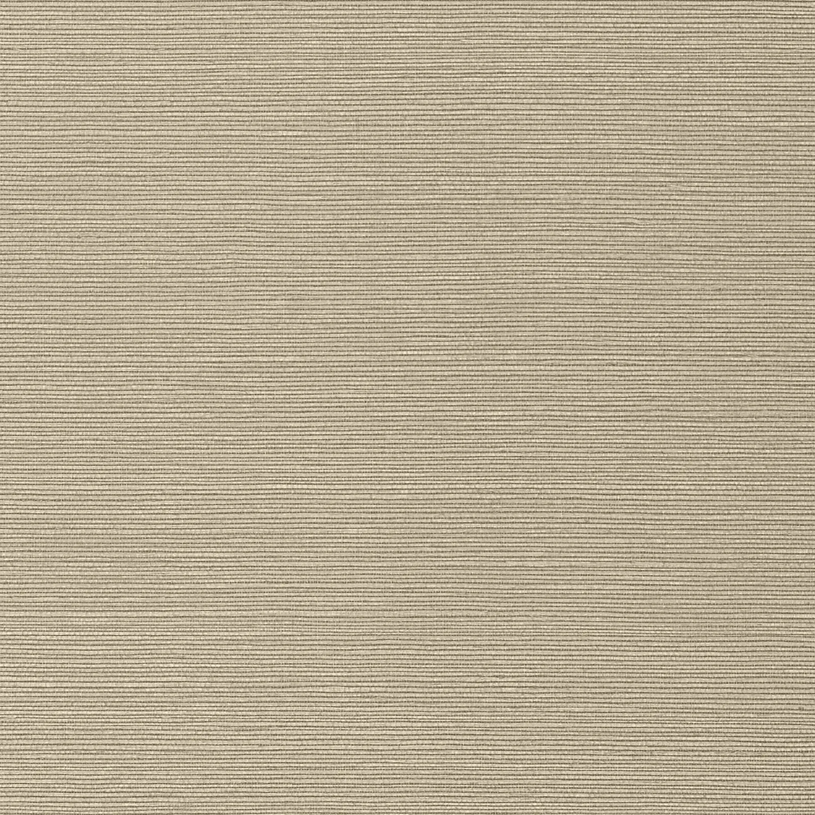 TALUK SISAL WIDE WIDTH - Mushroom. Фото 1 из 1