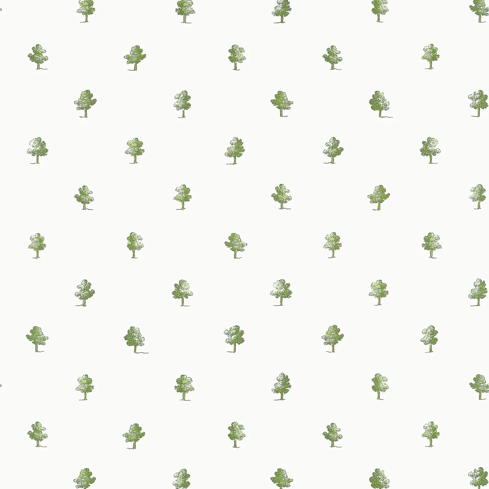 ASHTON - Green. Фото 1 из 1