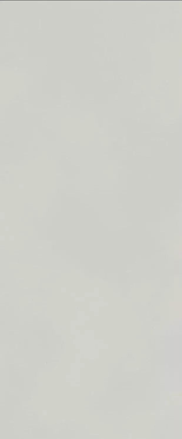 Настенная плитка Atlas Concorde Boost Color Moon Matt, 50x120, под бетон, серая, матовая