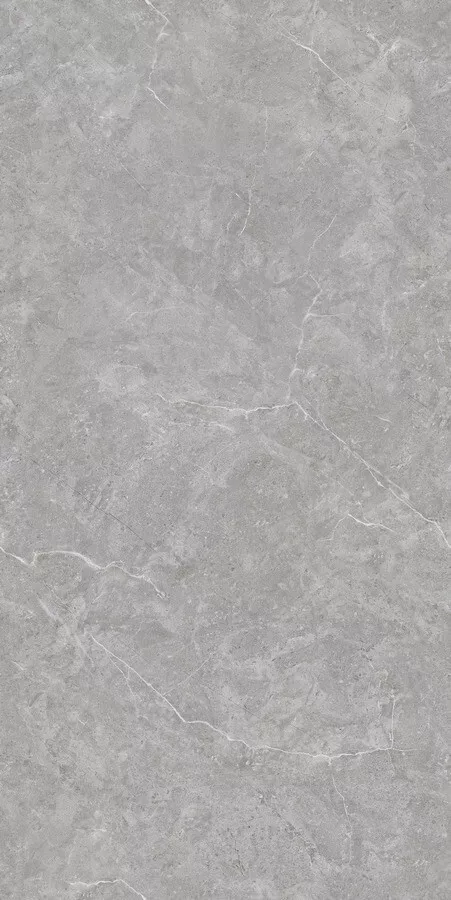 Керамогранит Neodom Techno Matt Mica Grigio TM, 80x160, под камень, серый, матовый