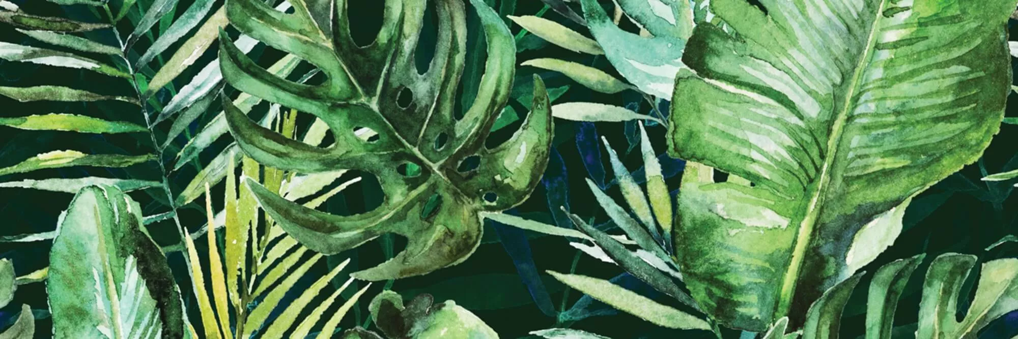 Декор Ceramika Konskie Braga Tropic C Rect, 25x75, флора, зелёный, глянцевый