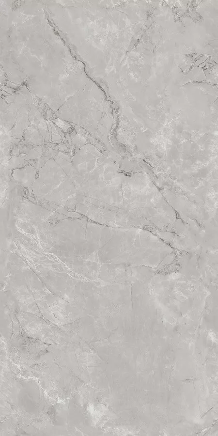 Керамогранит Neodom Techno Matt Siena Grey TM, 80x160, под камень, серый, матовый