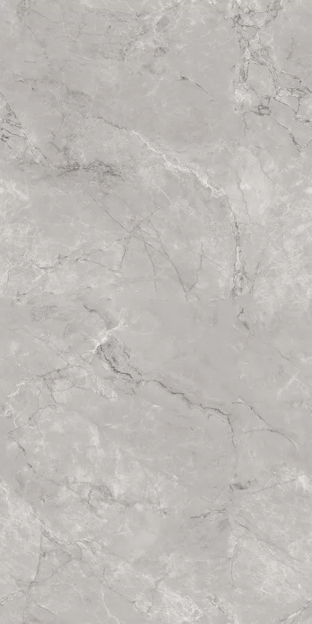 Керамогранит Neodom Techno Matt Siena Grey TM, 80x160, под камень, серый, матовый