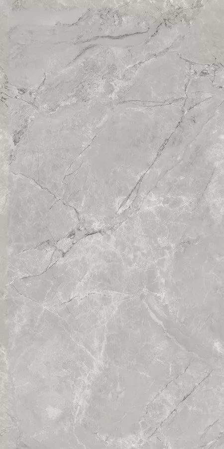 Керамогранит Neodom Techno Matt Siena Grey TM, 80x160, под камень, серый, матовый