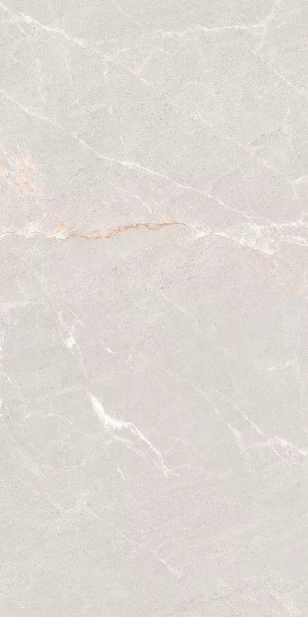 Керамогранит Neodom Techno Matt Persian Grey Tm, 80x160, под камень, серый, матовый