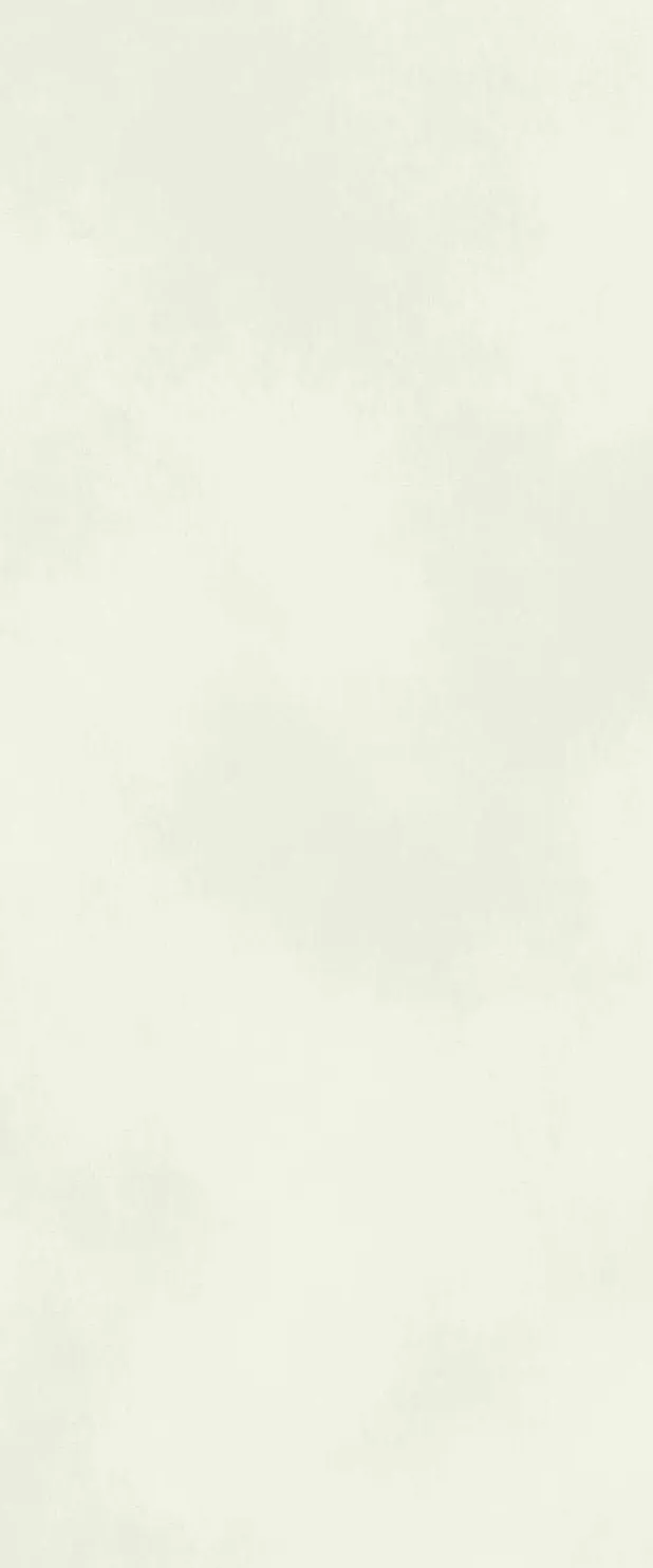 Настенная плитка Atlas Concorde Boost Color Pure Matt, 50x120, под бетон, белая, матовая