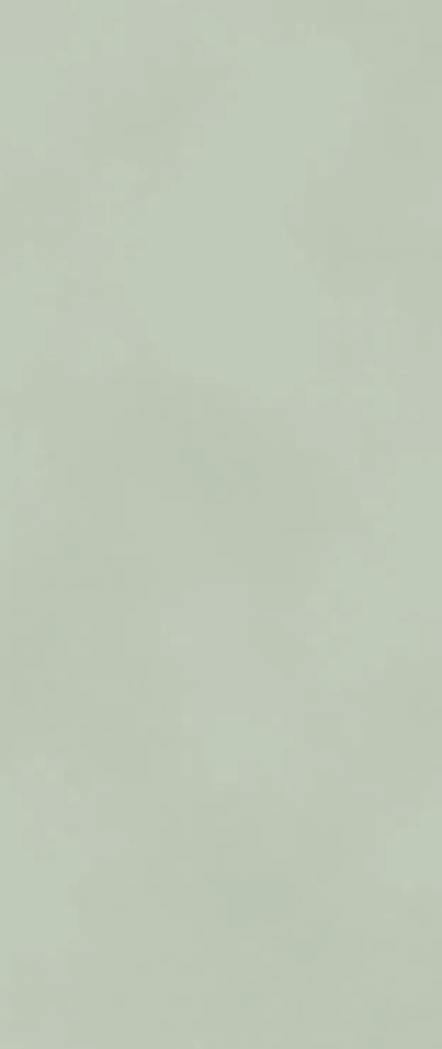 Настенная плитка Atlas Concorde Boost Color Mint Matt, 50x120, под бетон, зелёная, матовая