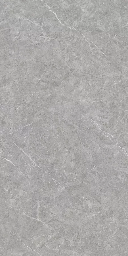 Керамогранит Neodom Techno Matt Mica Grigio TM, 80x160, под камень, серый, матовый