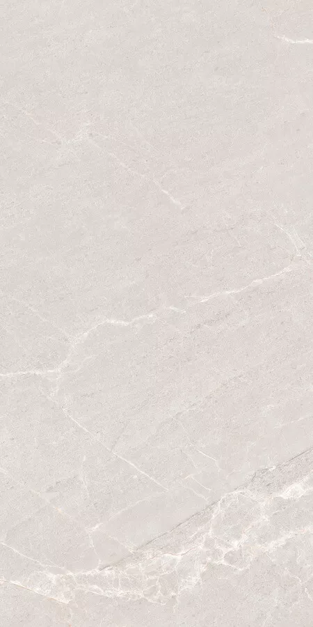 Керамогранит Neodom Techno Matt Persian Grey Tm, 80x160, под камень, серый, матовый