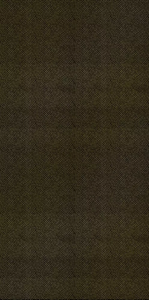 Настенная плитка Alma Сeramica Golden TWU09GLD200, 24.9x50, моноколор, чёрная, глянцевая