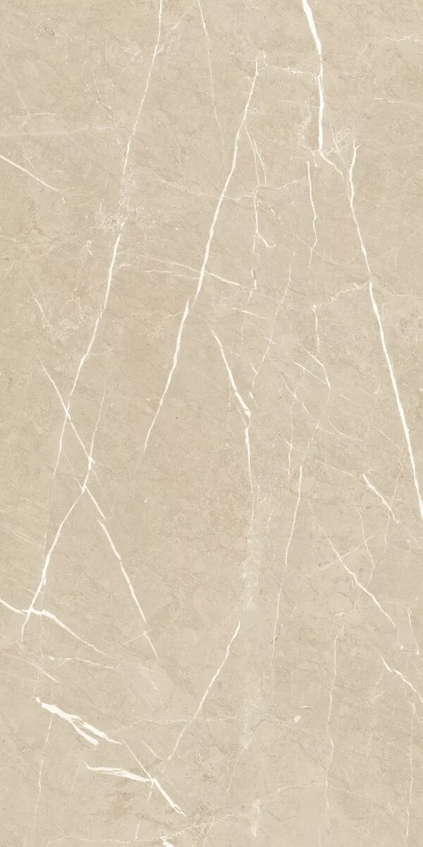 Керамогранит Century Medley Violin Molato, 60x120, под мрамор, серый, лаппатированный