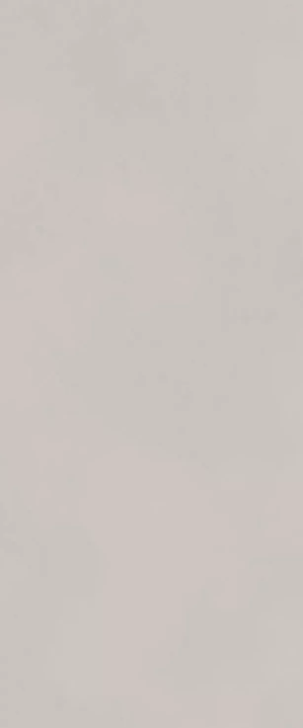 Настенная плитка Atlas Concorde Boost Color Dove Matt, 50x120, под бетон, серая, матовая