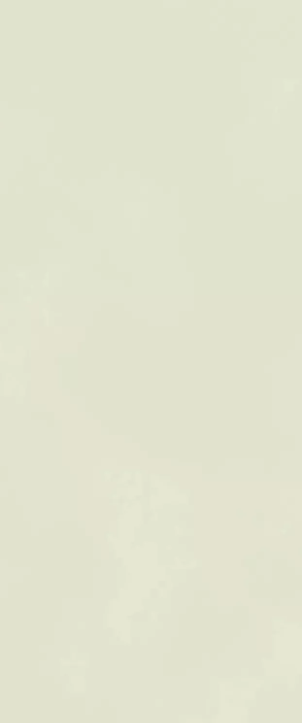 Настенная плитка Atlas Concorde Boost Color Salix Matt, 50x120, под бетон, бежевая, матовая