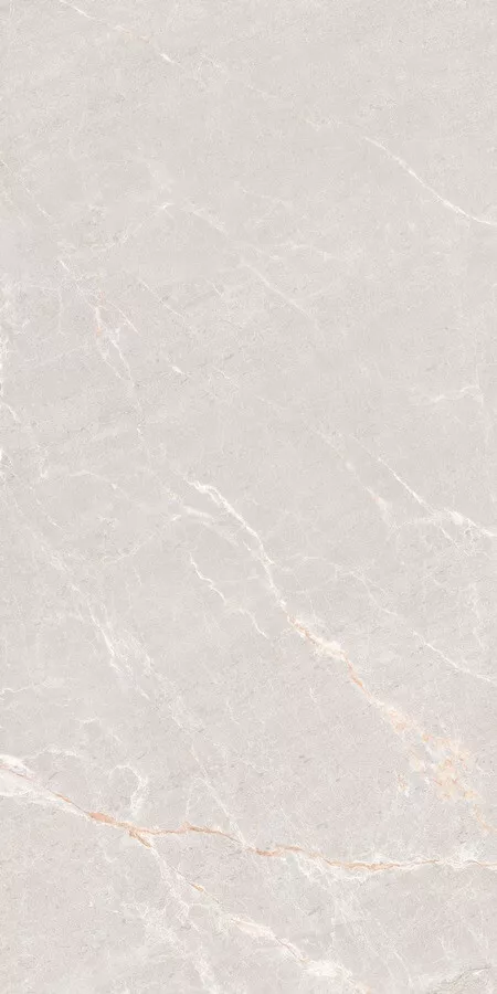 Керамогранит Neodom Techno Matt Persian Grey Tm, 80x160, под камень, серый, матовый