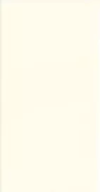 Настенная плитка Adex Neri Liso PB Biscuit, 7.5x15, моноколор, бежевая, глянцевая