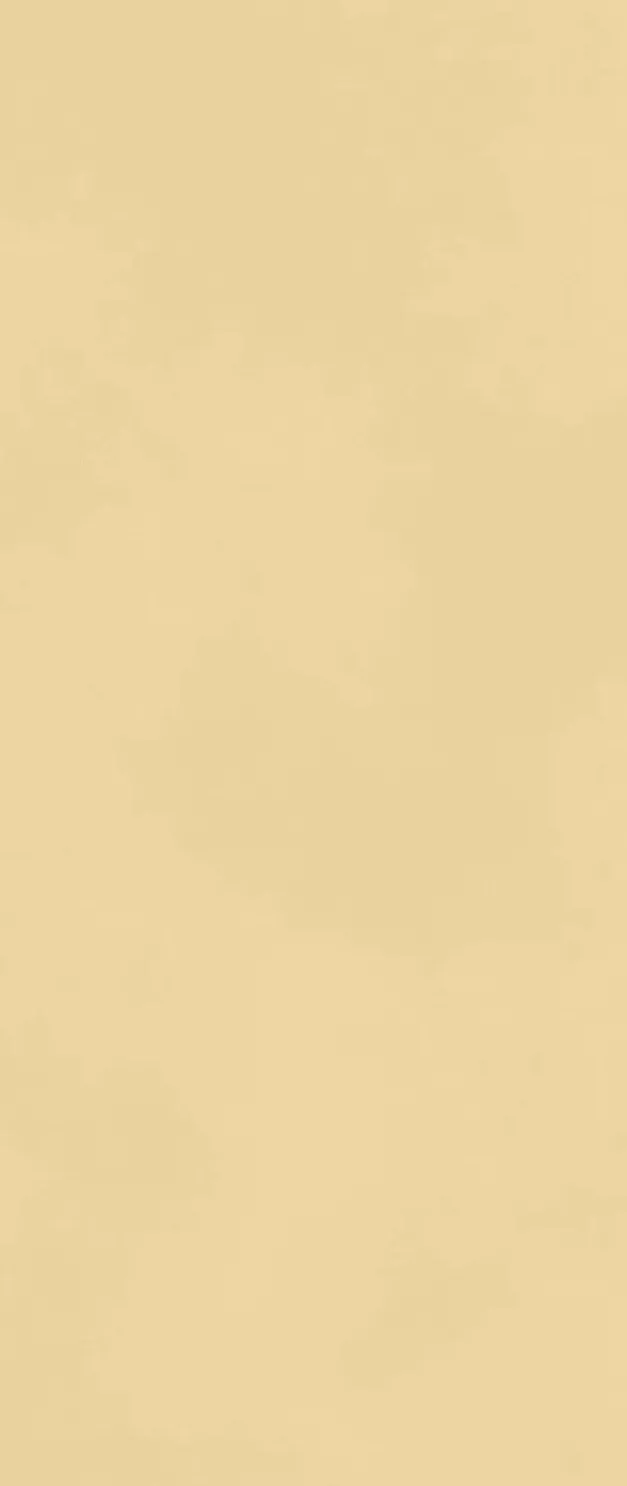 Настенная плитка Atlas Concorde Boost Color Sun Matt, 50x120, под бетон, бежевая, матовая