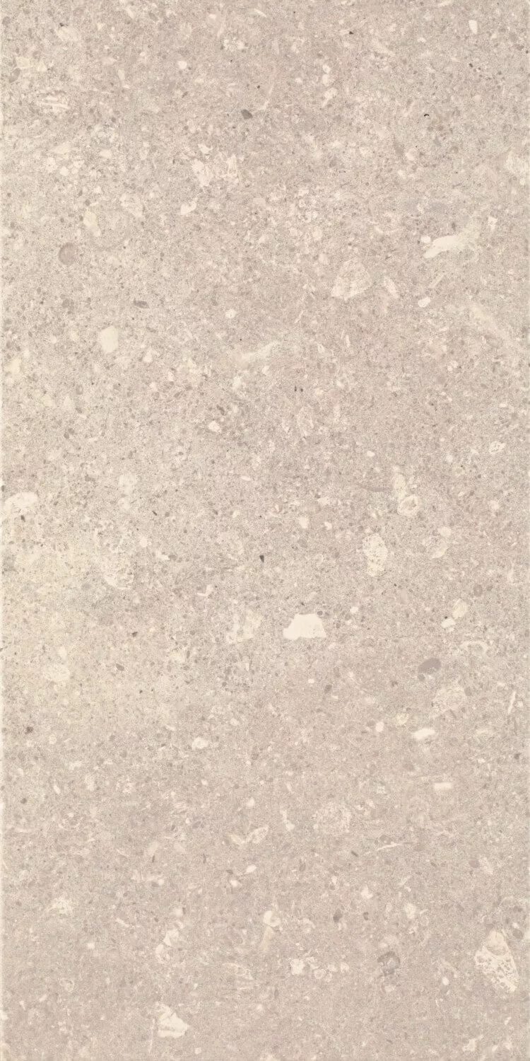 Настенная плитка Paradyz Aragorn Light Grys, 30x60, имитация терраццо, бежевая, матовая