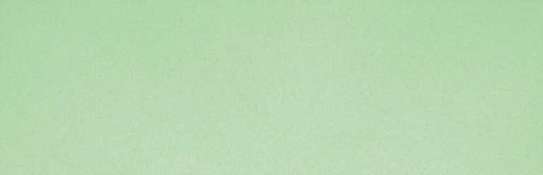 Настенная плитка Bardelli Color&Color C&C A8, 2.5x40, моноколор, зелёная, глянцевая