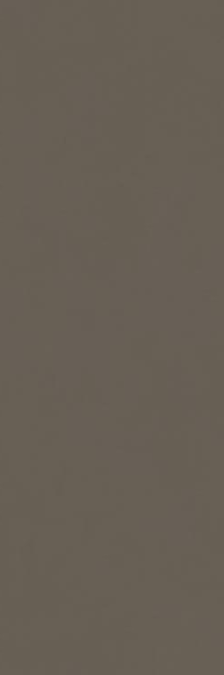 Настенная плитка Ragno Vida Fango, 30x90, под бетон, коричневая, матовая