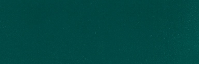 Настенная плитка Bardelli Color&Color C&C Clever D8, 1x20, моноколор, зелёная, глянцевая