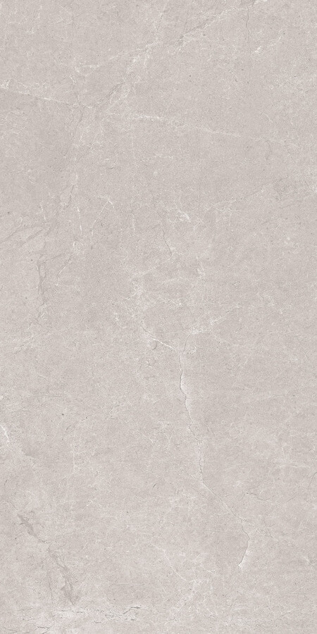 Керамогранит Neodom Techno Matt Aristo Grey Tm, 80x160, под камень, серый, матовый