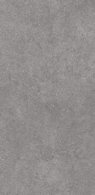 Керамогранит Kerama Marazzi Фондамента Серый DL590100R, 119.5x238.5, под бетон, серый, матовый