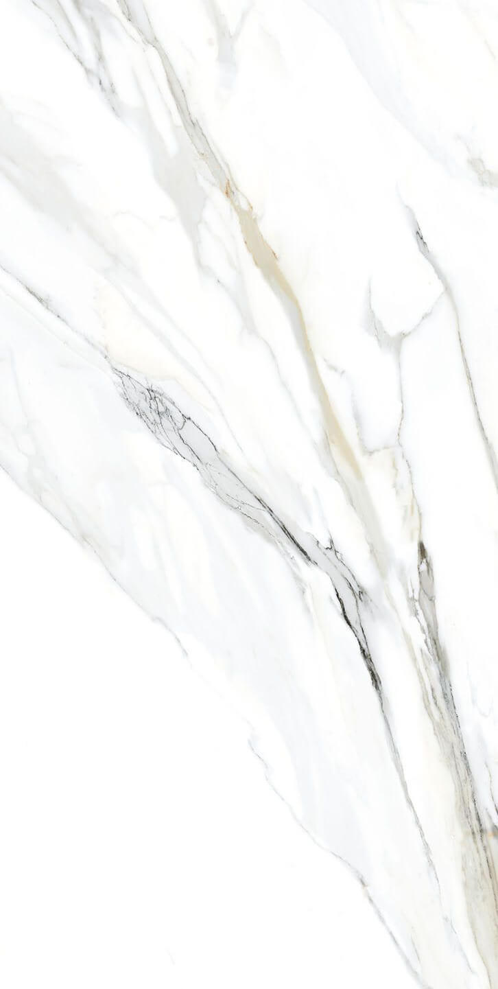 Керамогранит Tau Ceramica Emporio Calacatta nat., 60x120, под мрамор, белый, матовый