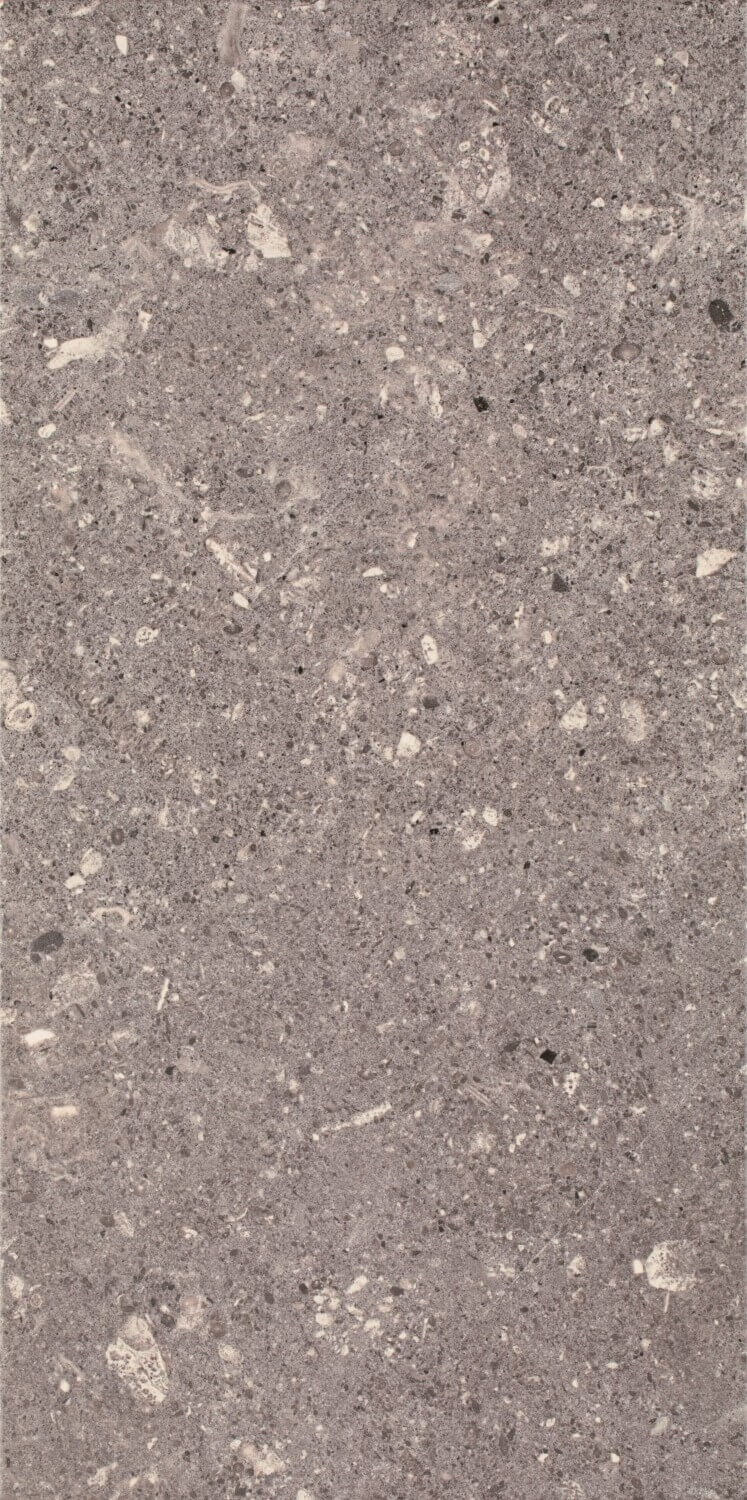 Настенная плитка Paradyz Aragorn Grys, 30x60, имитация терраццо, коричневая, матовая