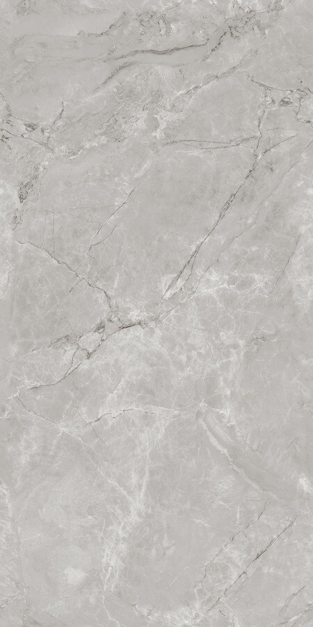 Керамогранит Neodom Techno Matt Siena Grey TM, 80x160, под камень, серый, матовый