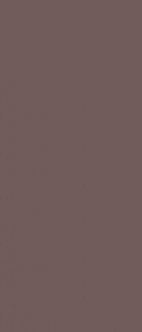 Настенная плитка Rako Concept WAAMB109, 20x40, моноколор, коричневая, матовая