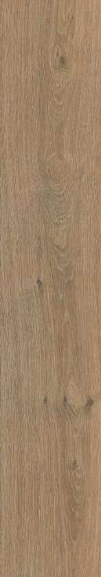 Керамогранит Alpas Euro Wood Oxford Brown Mat, 20x120, под дерево, коричневый, матовый
