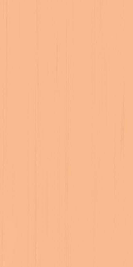 Настенная плитка Rako Easy WATMB065, 20x40, под обои, оранжевая, матовая