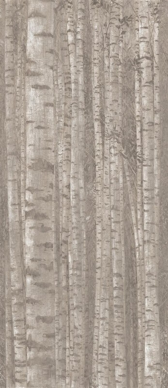 Декор Atlas Concorde Boost Pro Grove, 120x278, под бетон, серый, матовый