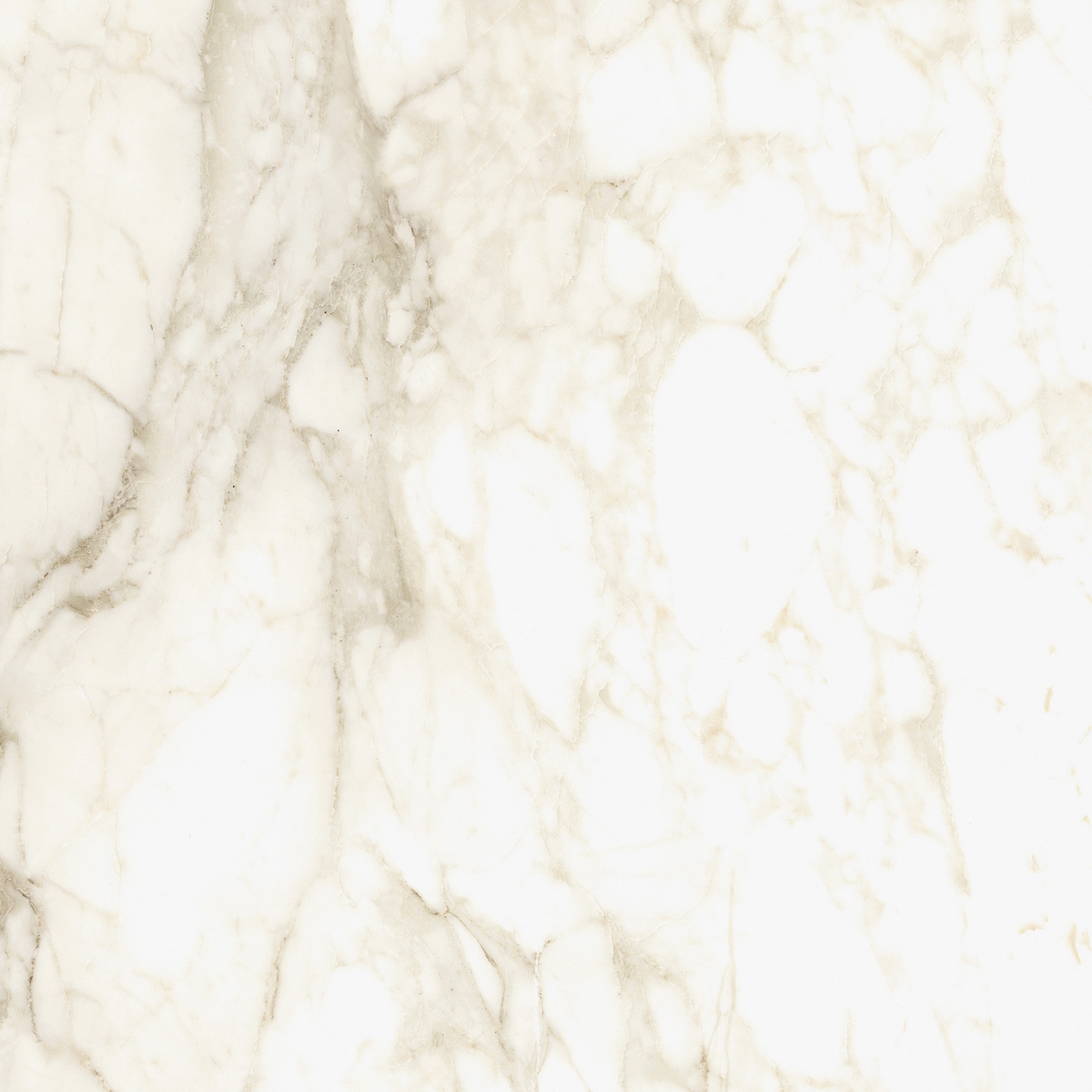 Керамогранит Coliseum Gres Michelangelo Ворм, 60x60, под мрамор, белый, матовый