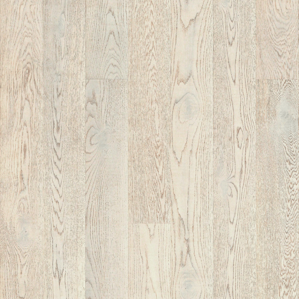 Дуб Лазурный