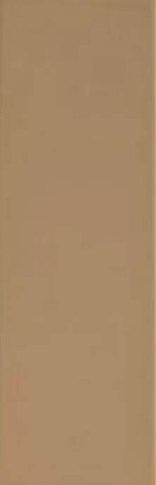 Настенная плитка Vallelunga Lirica Visone B1705A, 10x30, моноколор, коричневая, матовая