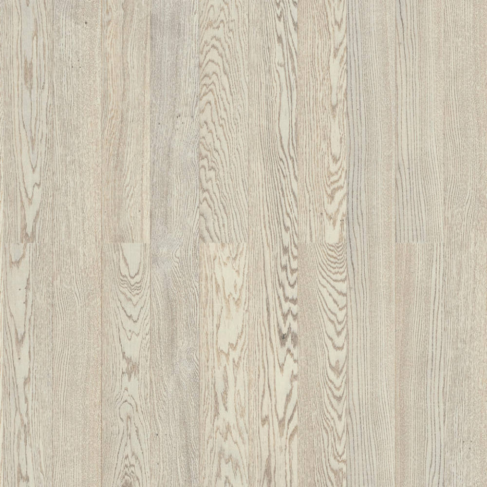 Дуб Айсберг