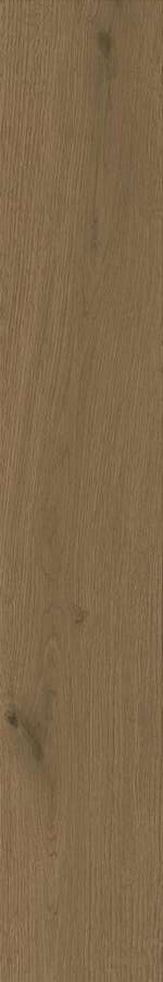 Керамогранит Atlas Concorde Entice Browned Oak Natural, 20x120, под дерево, коричневый, матовый