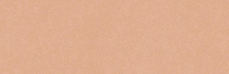 Настенная плитка Bardelli Color&Color C&C B1, 2.5x40, моноколор, коричневая, глянцевая