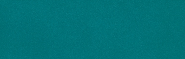 Настенная плитка Bardelli Color&Color C&C C7, 2.5x40, моноколор, зелёная, глянцевая