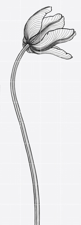 Декор Bardelli Tuli-charme 4, 80x220, с рисунком, чёрный, глянцевый