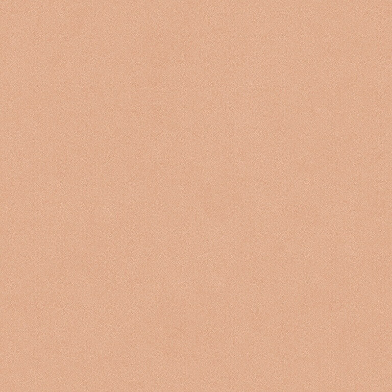 Настенная плитка Bardelli Color&Color C&C B1, 20x20, моноколор, коричневая, глянцевая