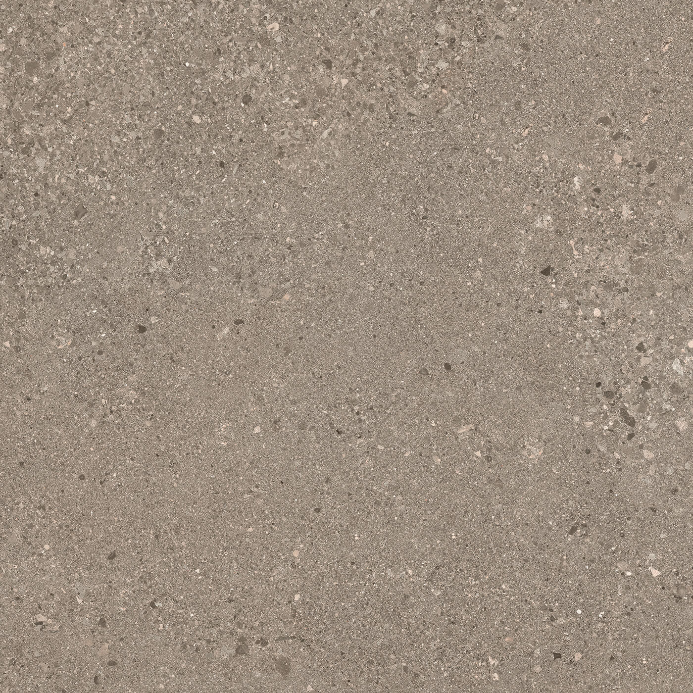 Керамогранит Ergon Grain Stone Rough Grain Taupe Nat., 60x60, соль-перец, коричневый, матовый
