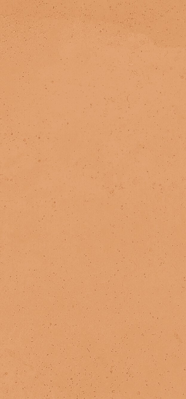 Керамогранит Sant'Agostino Vita Cotto 60120 Mat, 60x120, под майолику, оранжевый, матовый