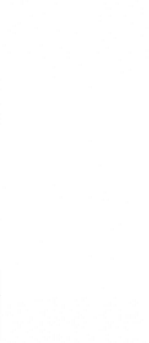 Настенная плитка Rako Concept WAAV4104, 30x60, моноколор, белая, матовая